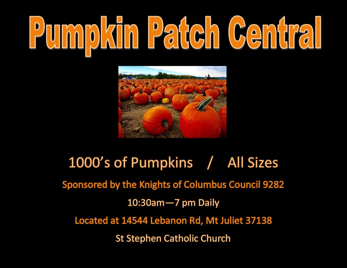 Pumpkin Patch Publisher Ad 2024